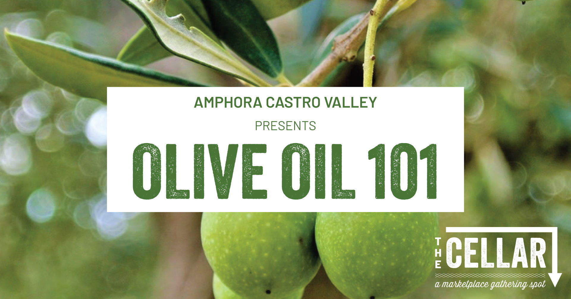 Olive Oil 101 with Amphora Nueva The Cellar Castro Valley