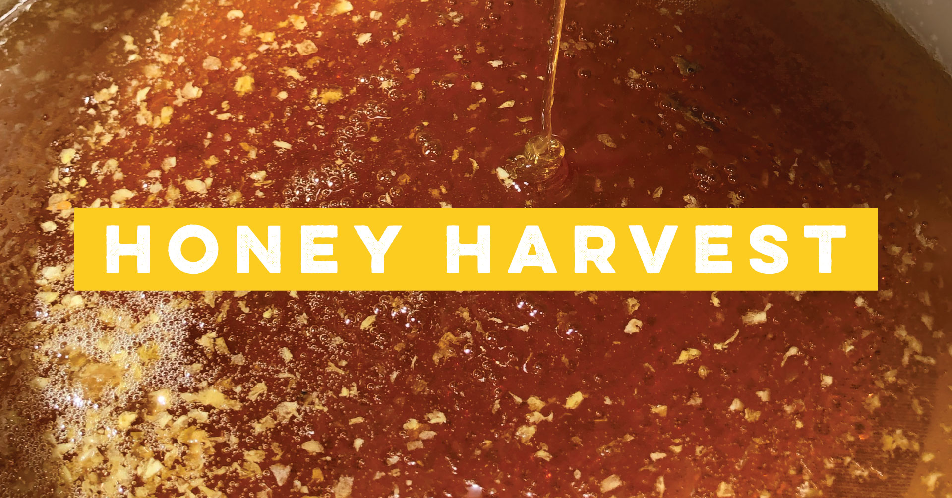 Castro Valley Honey Harvest at the Marketplace